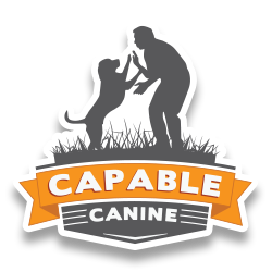  Capable Canine